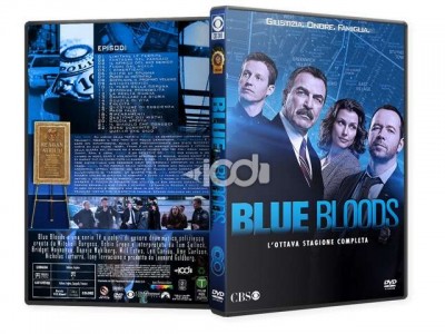 Blue Bloods S08 - DVD Prew.jpg